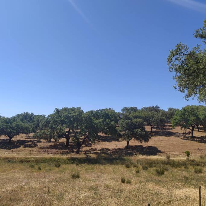 Holiday home Casa Do Forno Evora Retreat Redondo