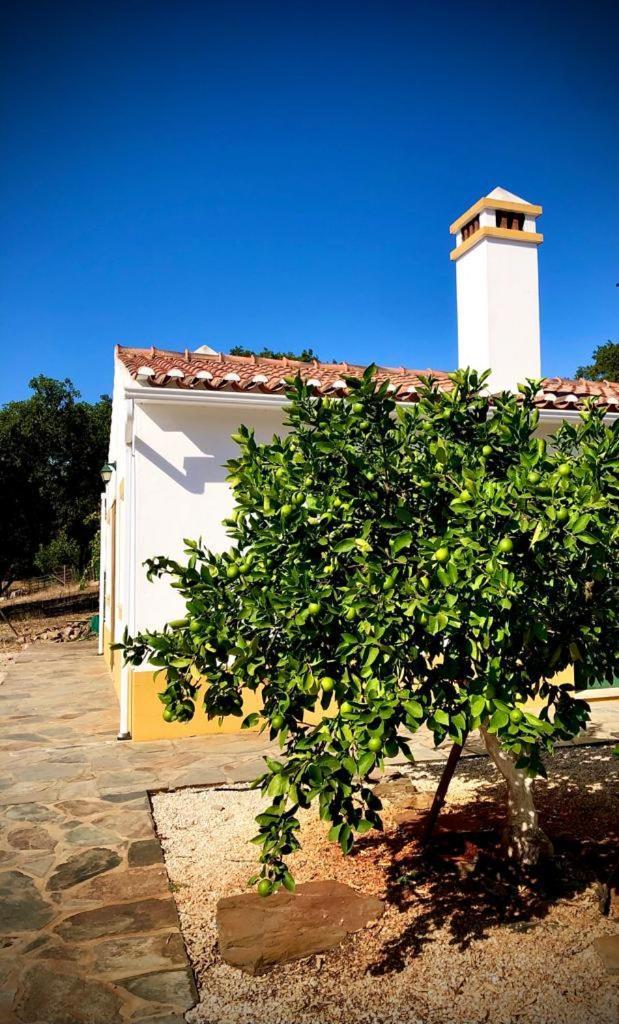 Holiday home Casa Do Forno Evora Retreat